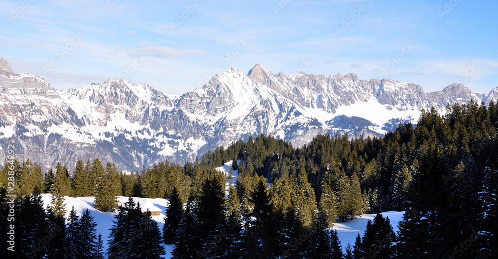 1000_F_28864292_zQHjOKFdusJTBNU6tGTS0AMeADzJjtrY.jpg