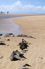 Low Tide