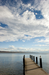 Obraz premium a lonely sea gull sittig on the pole of a landing stage