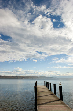 a lonely sea gull sittig on the pole of a landing stage