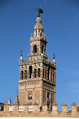 Fototapeta premium La Giralda, Sevilla