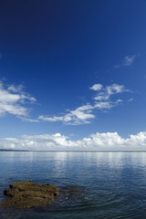 Fototapeta premium Blue sky of Hilo Bay at Hawaii
