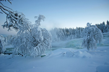 Storforsen waterfall in scandinavia in winter