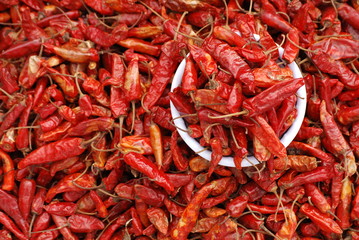 Piments au soleil