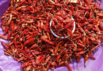 Piments au soleil