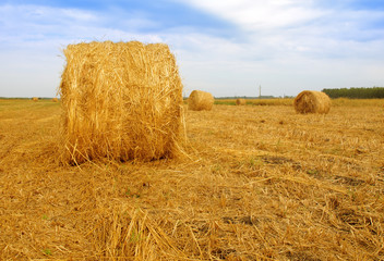 Straw bales