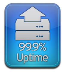 Host Server Uptime Icon