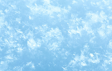 Fototapeta na wymiar Winter snowflakes on snow surface (macro)