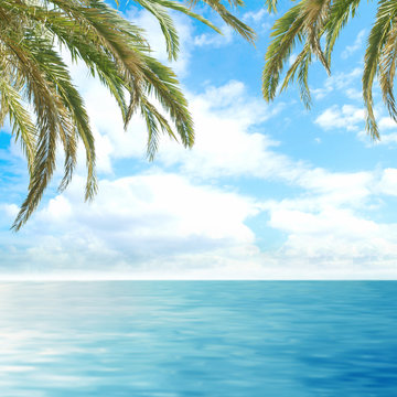 Romantic tropical view of the deep blue sea with palms