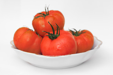 Pomodori su piatto isolati su bianco