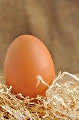 Uovo su letto di paglia