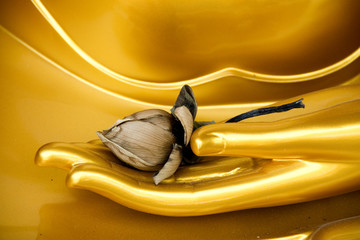 Buddha hand