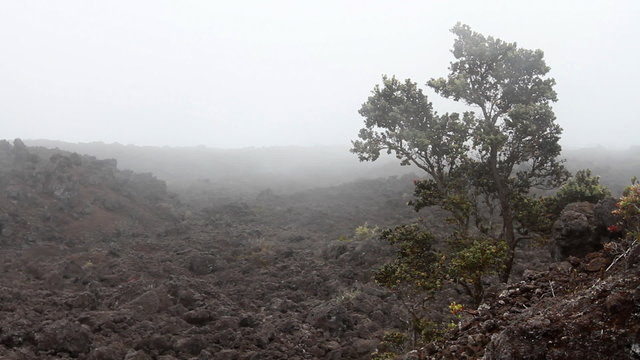 Desolate Lava Rock Landscape 1