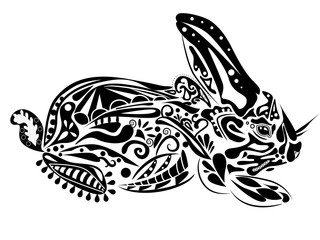 Black-and-white rabbit