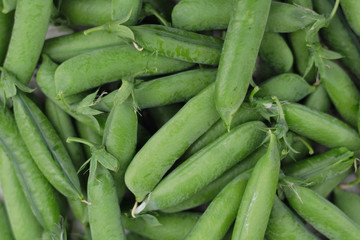 pea background