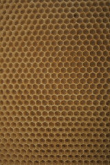 beeswax wirhout honey