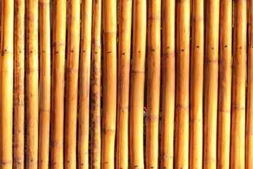 bamboo wall