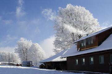 Idylic winter landscape with wooden chalet