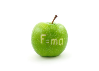 Newton second law on apple