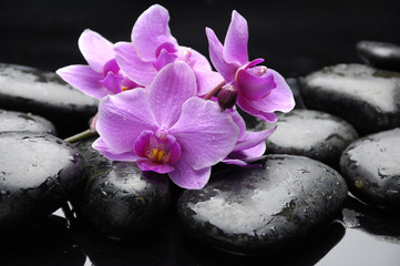 Naklejka na ściany i meble still life with pebble and orchid