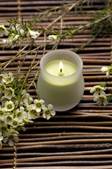 Plum flower and candle on bamboo mat
