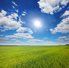 Obraz premium Field and clouds