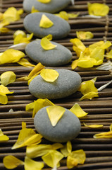 Spa composition of stones and ranunculus petals
