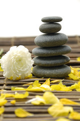 ranunculus flower with petal and stacked stone on mat