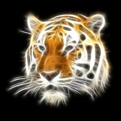 Fractal Tiger Illustration