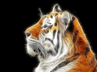 Fractal Tiger Illustration