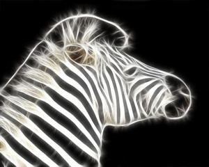 Fractal Zebra Illustration