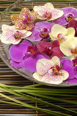 bowl of orchid with green leaf on mat