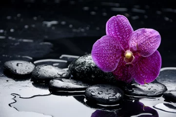 Behangcirkel stilleven met kiezelsteen en orchidee met waterdruppels © Mee Ting