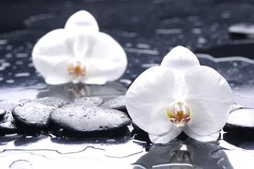 Schilderijen op glas Spa stilleven met orchidee op waterdruppels © Mee Ting