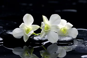 Türaufkleber Orchidee Lila Orchidee und schwarze Steine mit Reflexion