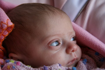 alice ritratto bebe bimba neonato