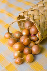 Basket with a onion