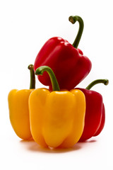 Paprika rot gelb