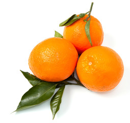 arance