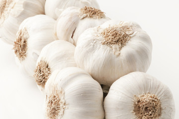 Garlic