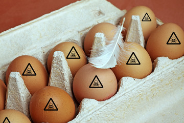 Eier