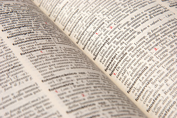 Fototapeta premium Vocabolario, particolare