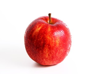 Frischer roter Apfel mit Wassertropfen