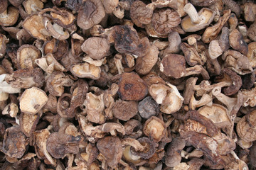 Getrocknete Pilze