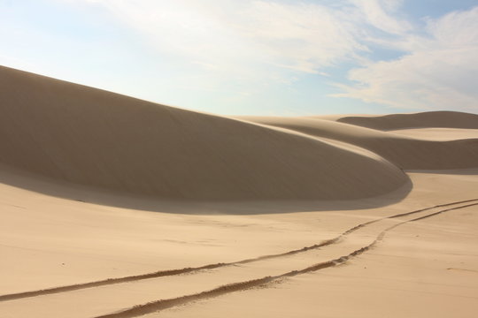 Sand dune with tyre tracks
