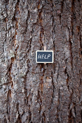background of tree bark and blackboard with the inscription help