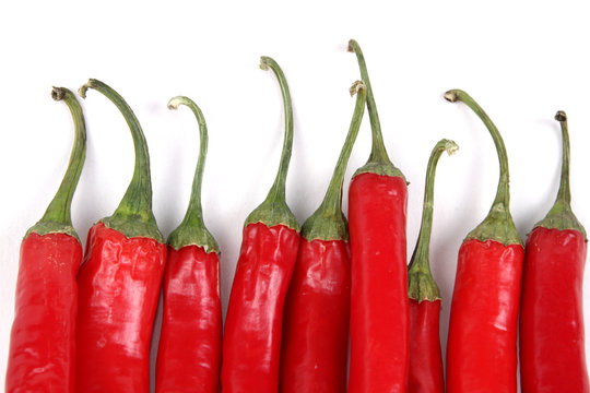 chilischoten