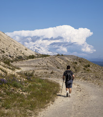 Fototapeta premium Hking Towards Mt. Adams