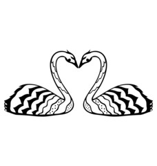 Swan In Love