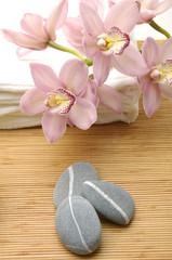 Pink orchid with flower towel and pebbles isolated